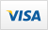 payment visa